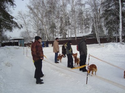 DSC06565.JPG