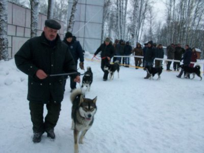 Музгар.1м.р..JPG