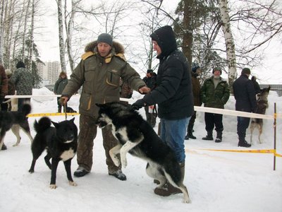 Амир-Горюнов- играет.JPG