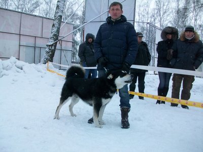 Т-Халзан..JPG