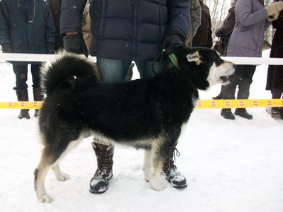 Халзан.JPG