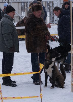 БаргутЖук..8м.р.ф.Арахлей.jpg