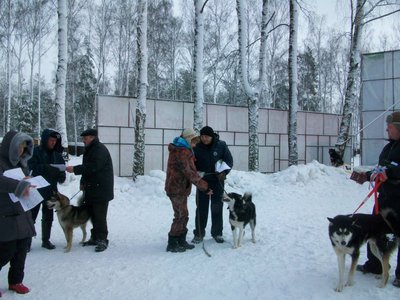 100_4140.JPG