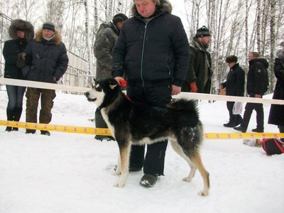 100_4114.JPG