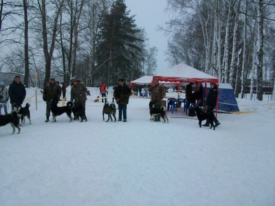 100_4123.JPG