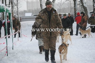гжель.jpg