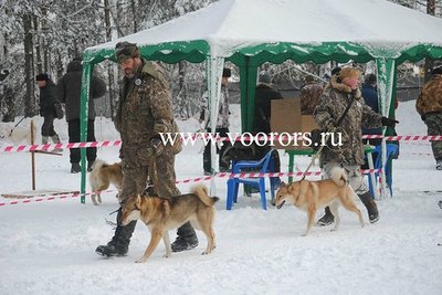 гжель2.jpg
