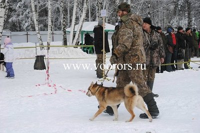 гжель3.jpg