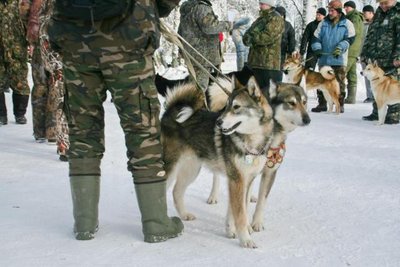 мыкола2.jpg