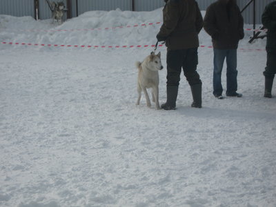 IMG_6564.JPG