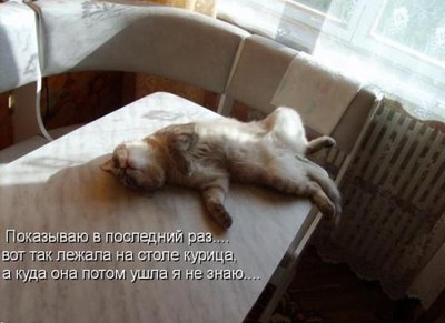 fklz_193155225-x-f_gejchuk_-klz-_x-600875.jpg