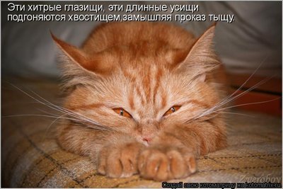 728563.jpg