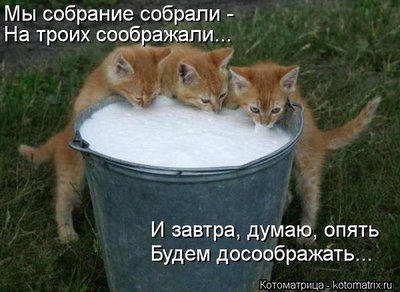 kotomatritsa_qe.jpg