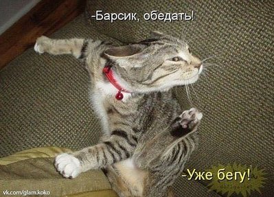 888f5d24d2dff4b972a5aad0fd38c8fc.jpg