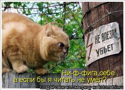 если.jpg