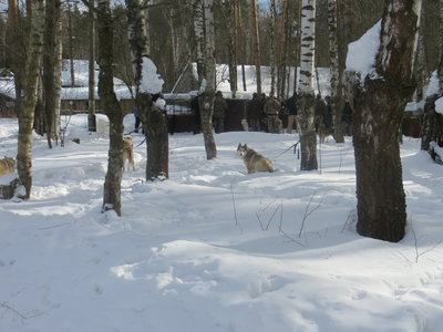 IMG_0619.JPG