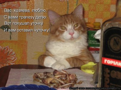уточка.jpg