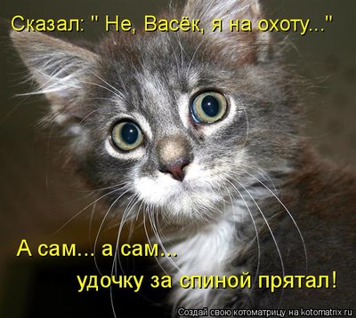 удочка.jpg