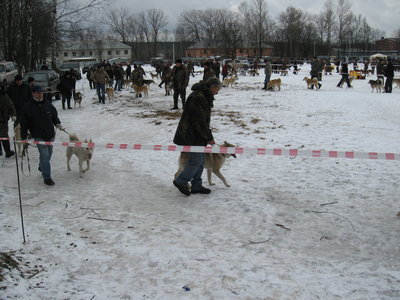 Михалыч 050.jpg