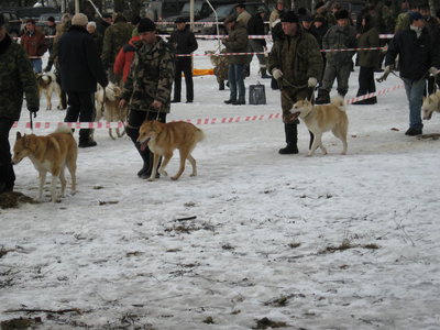 Михалыч 067.jpg