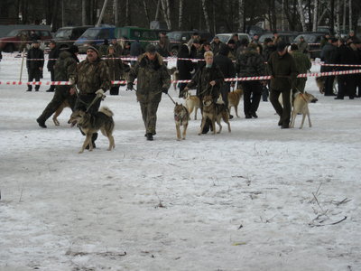 Михалыч 070.jpg