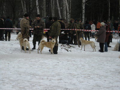 Михалыч 077.jpg