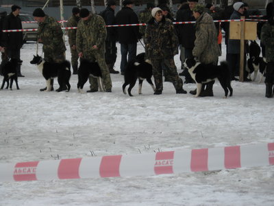 Михалыч 071.jpg