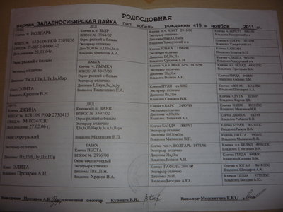 DПапкинаСамур 159.jpg