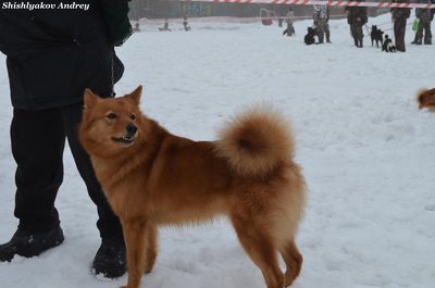 мооир19.jpg