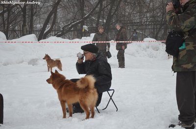 мооир18.jpg