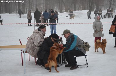мооир17.jpg
