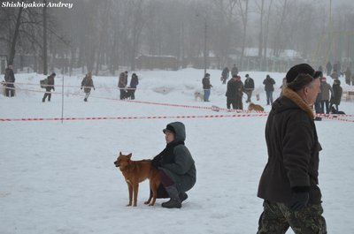 мооир14.jpg