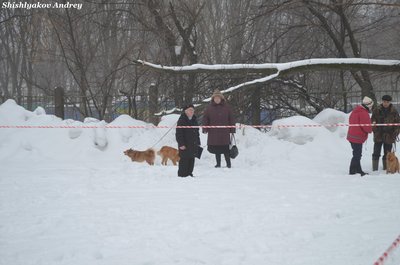 мооир12.jpg