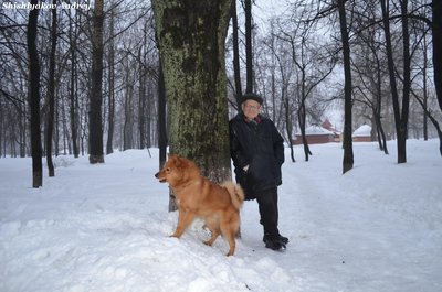 мооир3.jpg