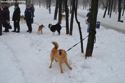 мооир2.jpg