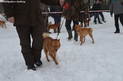 мооир1.jpg