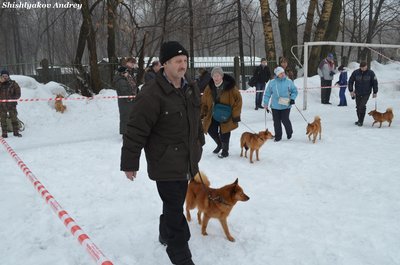 мооир5.jpg