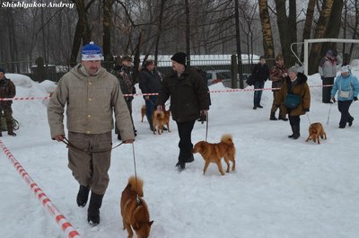 мооир4.jpg