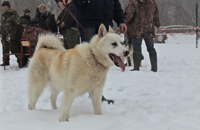 IMG_0016-Л.JPG