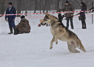 IMG_0015-Л.JPG