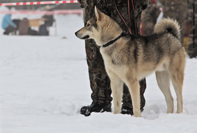 IMG_0006-Л.JPG