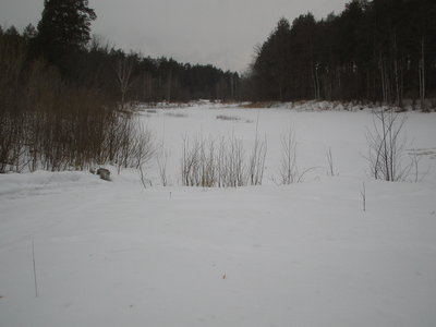 IMG_0730.JPG
