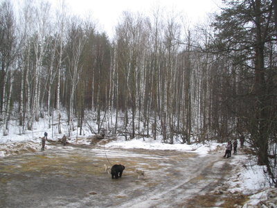 IMG_0737.JPG