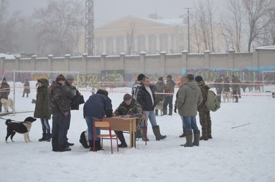 Изображение 113.jpg