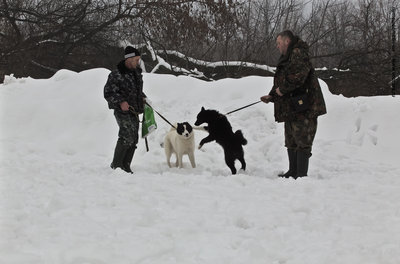 IMG_0035-Л.JPG