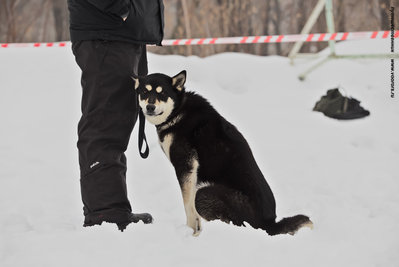 IMG_0024-Л.JPG