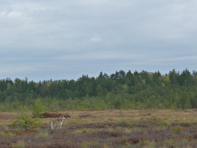 P1010006.JPG