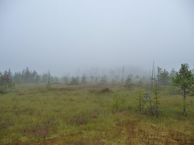 P1030165.JPG