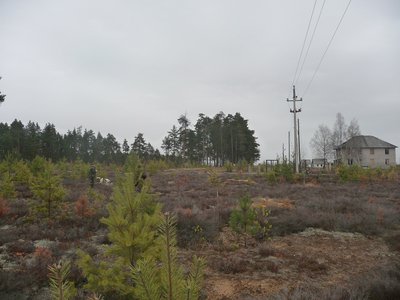 P1030700.JPG