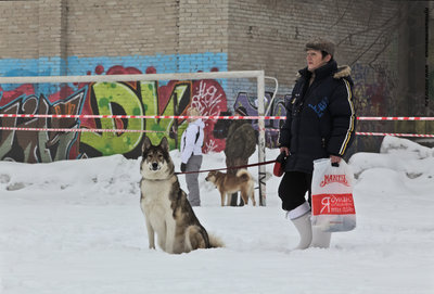 IMG_0052-Л.JPG